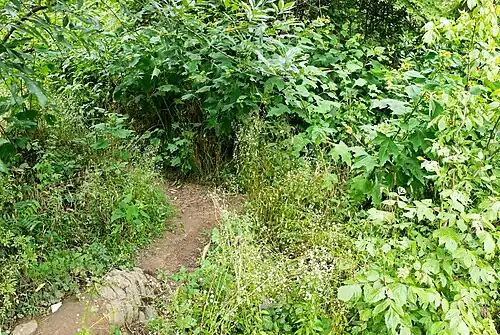 Another view of tricky spot. In summer the vegetation can get pretty high.