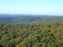 View from the Weißenberg looking northwest. Centre: Mühlenberg