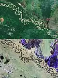 Bolivian forest—comparing Sentinel-2 and Biomass. The Biomass image offers significantly more information for quantifying forest carbon stocks thanks to its long-wavelength radar, which can penetrate the canopy. In contrast, the optical Sentinel-2 image captures only the top of the canopy.