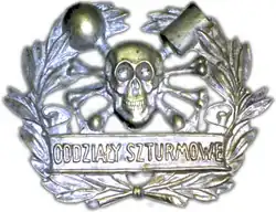 Polish Storm Detachment during Silesian Risings