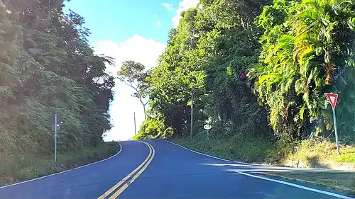 Puerto Rico Highway 808 in Cedro Abajo