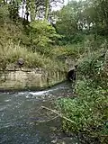 Causey Burn Culvert, arch and retaining walls