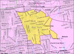 U.S. census map