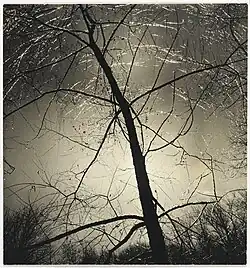 Consuelo Kanaga, Untitled (Ice Morning, Putnam Pond). Brooklyn Museum