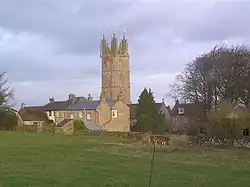 Yellow stone church tower above other buildings of the same stone.In the foreground is a grassy field with cows.
