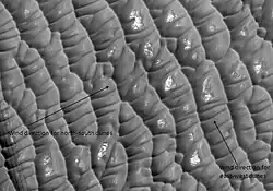 Olympia Planitia Dunes, as seen by HiRISE. Gypsum has been detected here by MRO.[19]