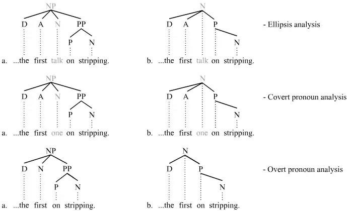 Different analyses of noun ellipsis