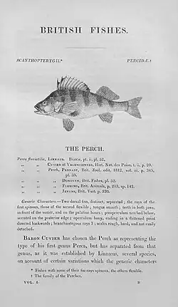 page of a book with a picture of a fish and text