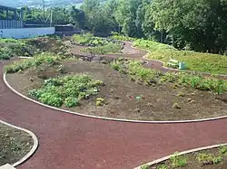 The indigenous plants exhibit: identifying plants found in each Azorean biome
