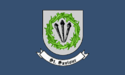 Flag of Saint Saviour