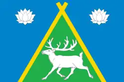 Flag of Todzhinsky District