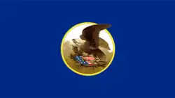 State flag from 1866 to 1913 (reverse)