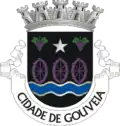Coat of arms of Gouveia
