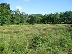Hazleton Common, Horndean