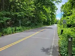 Henry Street at a salamander tunnel