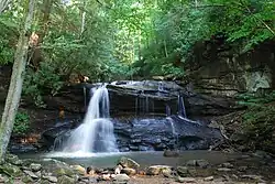 A waterfall along a rushing stream surrounded by forests.