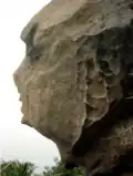 Human head rock[4]