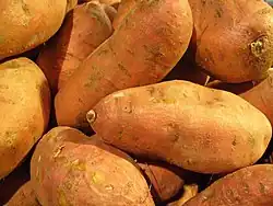 Sweet Potato (Kamote)