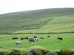 Farmland in the townlands of Curry and Cloonbanniv