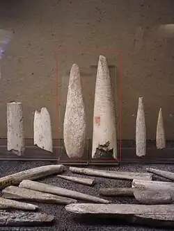 Among Gravettian projectile points; a red box surrounds the two from Isturitz.