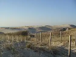 A photo of seaside dunes