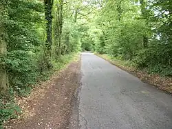 Little Hundridge Lane, 2010