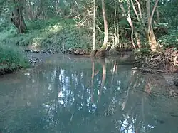 Mouth of the Zimmerbach into the Salza