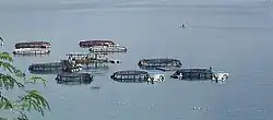 Large circular structures on the water surface, some with docked boats alongside