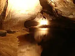 Cave passage with dark water flowing towards the viewer beside a silty bank on the left. The cross-section of the passage is roughly triangular, with a flat, wide bottom, and a relatively smooth slanting roof on either side.