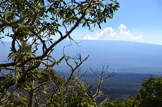 Mauna Loa as viewed from Puu Huluhulu