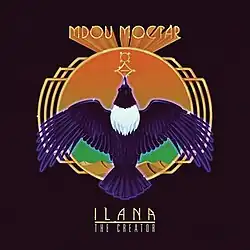 A pied crow flying above a desert