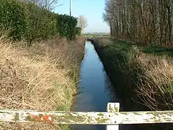 Meersloot in Ammerzoden