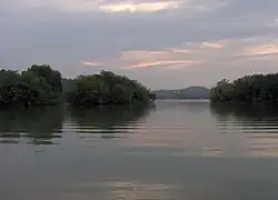 Morganton site post-Tellico