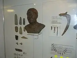 Artifacts and reconstruction of the deceased (by Gerasimov) in tomb No. 132 from Yuzhni Oleny island.[7]
