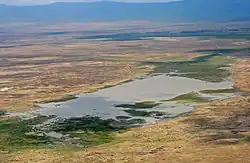 Bird's eye view over a largely unvegetated plain with a lake. In the distance a mountain range is visible.
