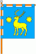 Flag of Nyzhankovychi