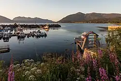 Lake of water with two wooden docks and boats, some grassy field and flowers in the foreground