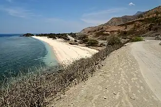 General view from the west