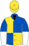 Royal blue and yellow (quartered), royal blue and white halved sleeves, yellow cap