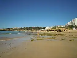 Looking west along the beach at low tide