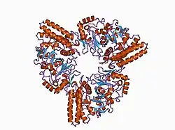 1cb5: HUMAN BLEOMYCIN HYDROLASE.