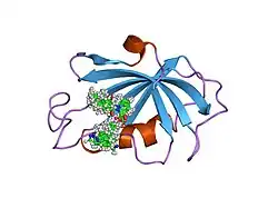 1f40: SOLUTION STRUCTURE OF FKBP12 COMPLEXED WITH GPI-1046, A NEUROTROPHIC LIGAND