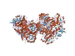 1h7w: DIHYDROPYRIMIDINE DEHYDROGENASE (DPD) FROM PIG