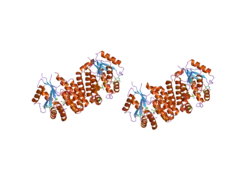 2a2z: Crystal Structure of human deoxycytidine kinase in complex with deoxycytidine and uridine diphosphate