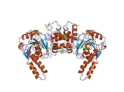 2hdh: BIOCHEMICAL CHARACTERIZATION AND STRUCTURE DETERMINATION OF HUMAN HEART SHORT CHAIN L-3-HYDROXYACYL COA DEHYDROGENASE PROVIDE INSIGHT INTO CATALYTIC MECHANISM