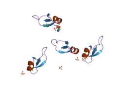 2nlq: Human beta-defensin-1 (Mutant Lys31Ala)