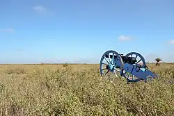 Palo Alto Battlefield