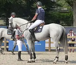 a rider in jumping gear on a grey horse
