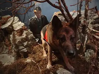 Utstilling i første etasje, Norsk rettsmuseum. Police-dog on duty.