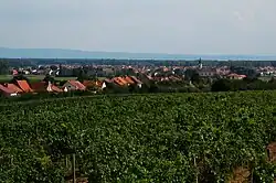 View of Ratíškovice and nearby vineyards